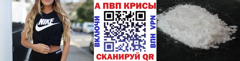 A PVP СК  Аргун 