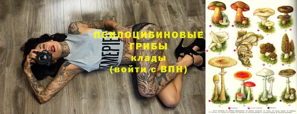 spice Алексеевка