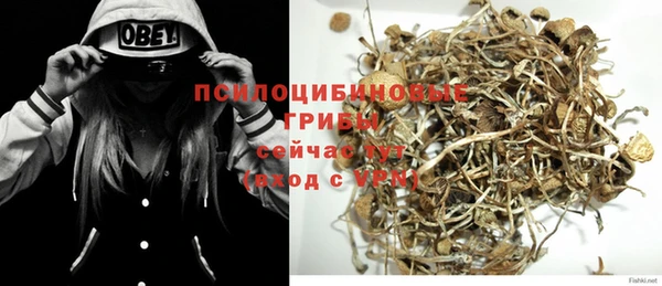 spice Алексеевка